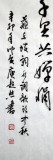 庾超然四尺蘇軾名篇《明月幾時有》