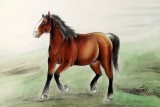 【已售】著名工筆畫家趙逸梅四尺馬到成功駿馬圖