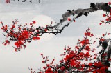 SK安徽美協何華賢四尺斗方《梅開五福》