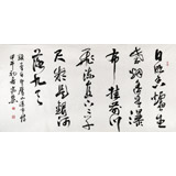 中國書協會員王守義作品古詩《望廬山瀑布》