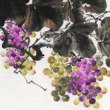 安徽美協何華賢 四尺葡萄畫《紫玉含潤》