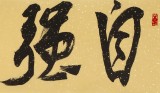 趙青 四尺對開《自強不息》  西安書法院院長（詢價）