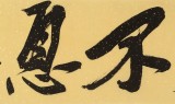 趙青 四尺對開《自強不息》  西安書法院院長（詢價）