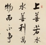 夏廣田 四尺《水善利萬物而不爭》著名啟功體書法家