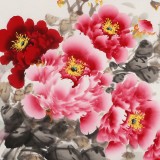 【已售】王偉寧 四尺《花開富貴》 青年書畫才俊 河南美協會員