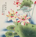 凌雪 四尺斗方《荷香萬里》 北京美協會員