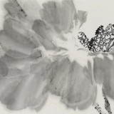 陳薪名《荷花清翠圖》 中美協會員 第六屆全國花鳥畫展金獎獲得者