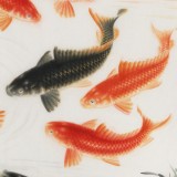 【已售】周升達 四尺《富貴久魚》 中國畫院國畫組長（詢價）