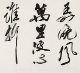 吳身元 四尺對開《浪花》 原中國硬筆書法家協(xié)會副主席