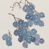 王永剛 斗方小品《美食圖》國家一級美術師（詢價）